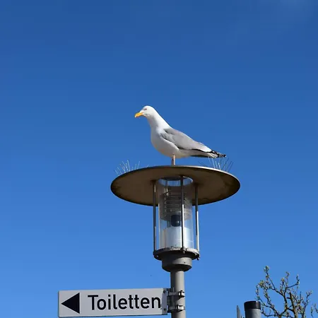 Apartment Kleine-hafenauszeit